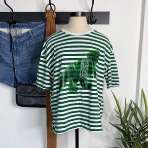 ZARA Green Striped Graphic T-Shirt Trex